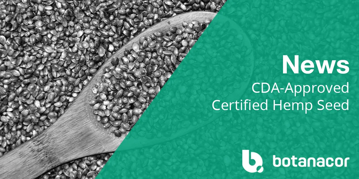 CDA-Approved Certified Hemp Seed Varieties
